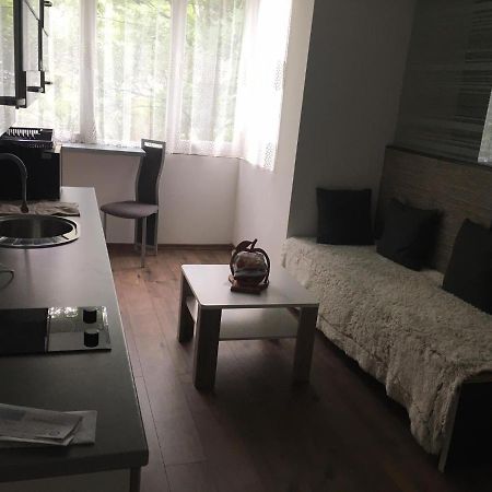 Apartment In The Center Of The Old City, Budzak 14 Saraievo Exterior foto