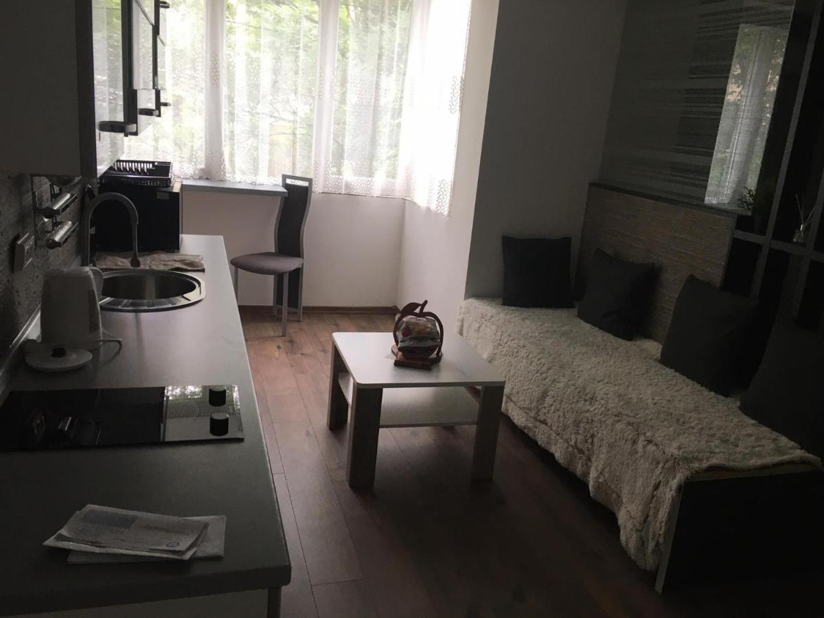 Apartment In The Center Of The Old City, Budzak 14 Saraievo Exterior foto